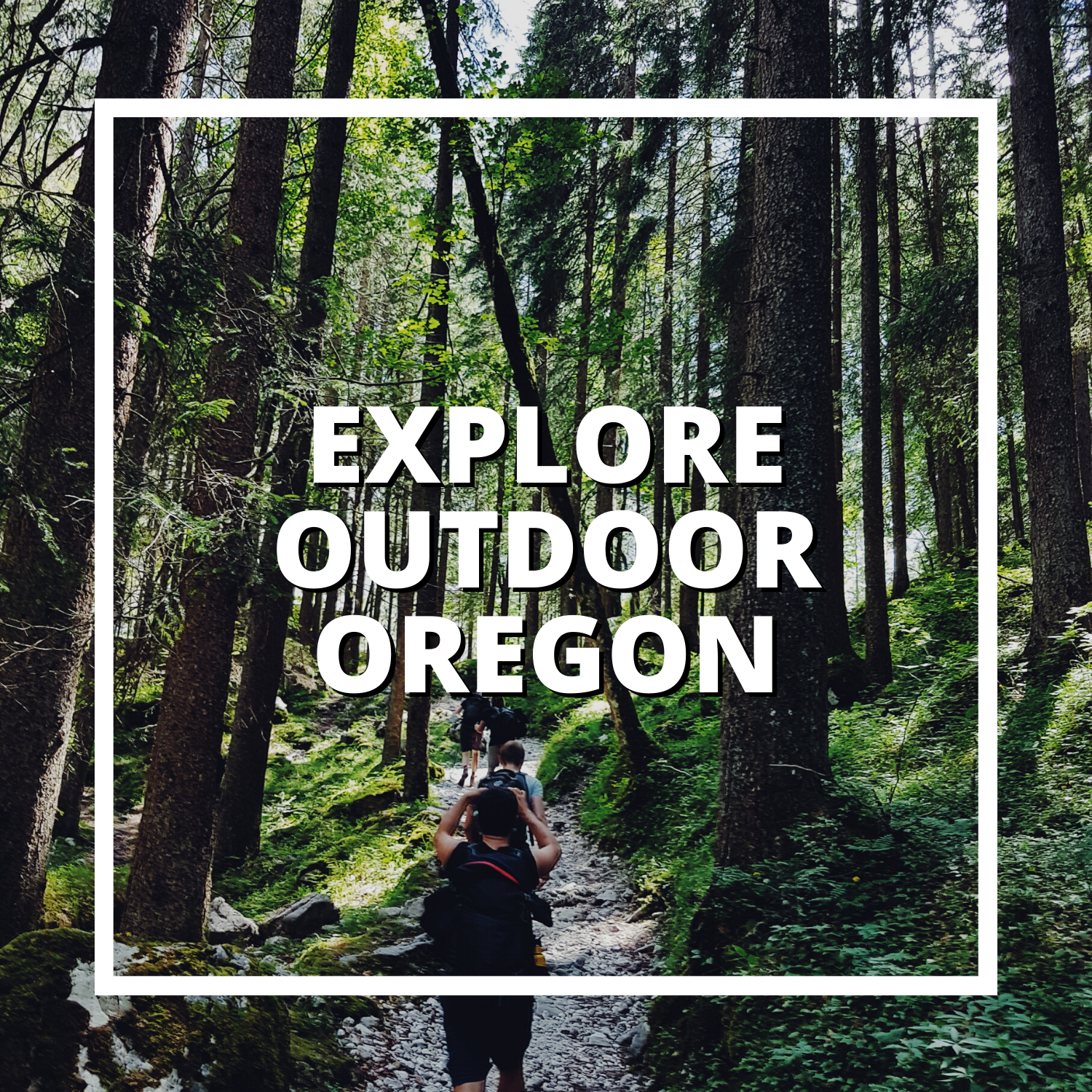 explore, outdoors, oregon, nature, lane county, hiking, mary reilly